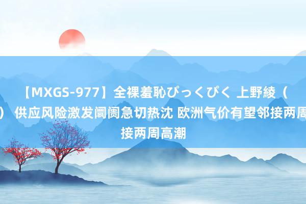 【MXGS-977】全裸羞恥ぴっくぴく 上野綾（雪菜） 供应风险激发阛阓急切热沈 欧洲气价有望邻接两周高潮