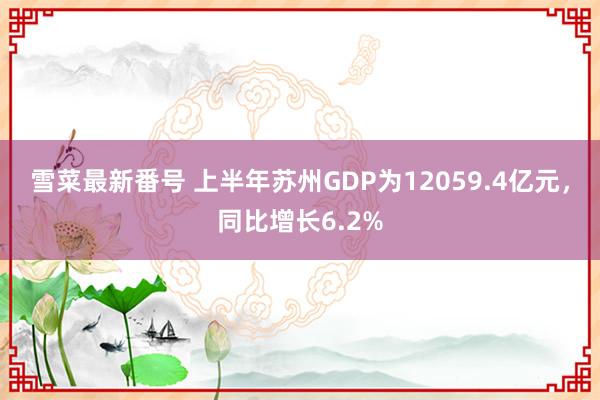 雪菜最新番号 上半年苏州GDP为12059.4亿元，同比增长6.2%