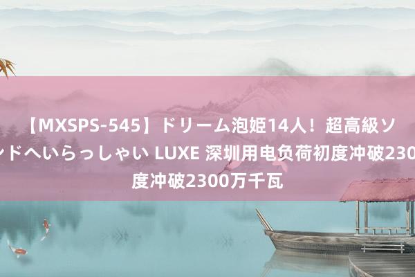 【MXSPS-545】ドリーム泡姫14人！超高級ソープランドへいらっしゃい LUXE 深圳用电负荷初度冲破2300万千瓦