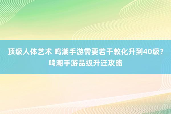 顶级人体艺术 鸣潮手游需要若干教化升到40级？鸣潮手游品级升迁攻略