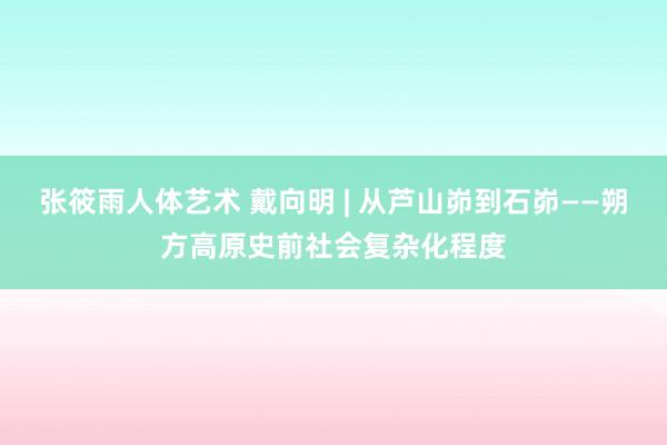 张筱雨人体艺术 戴向明 | 从芦山峁到石峁——朔方高原史前社会复杂化程度