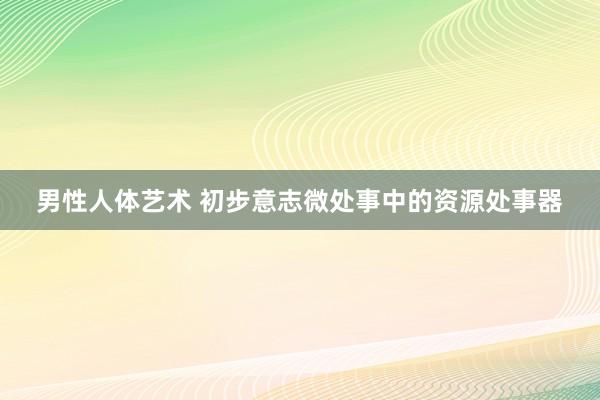 男性人体艺术 初步意志微处事中的资源处事器