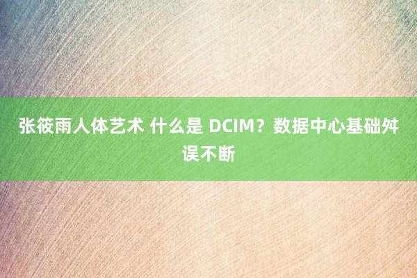 张筱雨人体艺术 什么是 DCIM？数据中心基础舛误不断