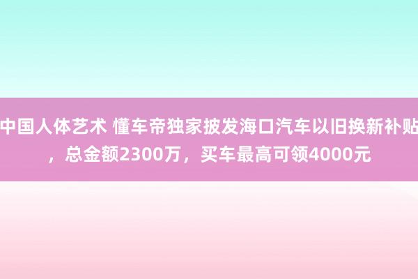 中国人体艺术 懂车帝独家披发海口汽车以旧换新补贴，总金额2300万，买车最高可领4000元