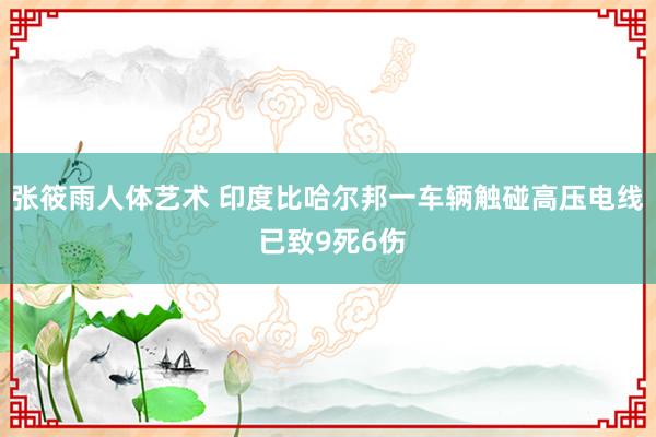 张筱雨人体艺术 印度比哈尔邦一车辆触碰高压电线 已致9死6伤