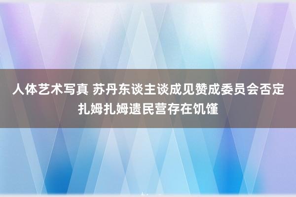 人体艺术写真 苏丹东谈主谈成见赞成委员会否定扎姆扎姆遗民营存在饥馑