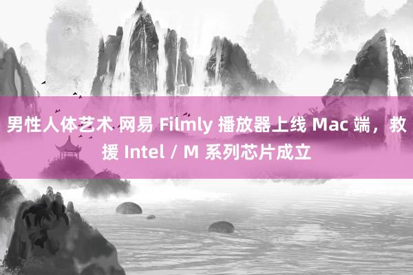 男性人体艺术 网易 Filmly 播放器上线 Mac 端，救援 Intel / M 系列芯片成立