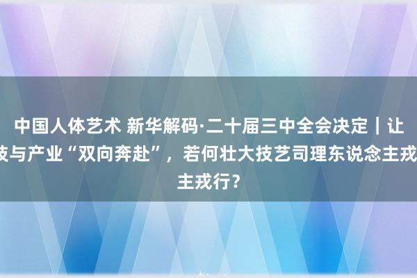 中国人体艺术 新华解码·二十届三中全会决定｜让科技与产业“双向奔赴”，若何壮大技艺司理东说念主戎行？