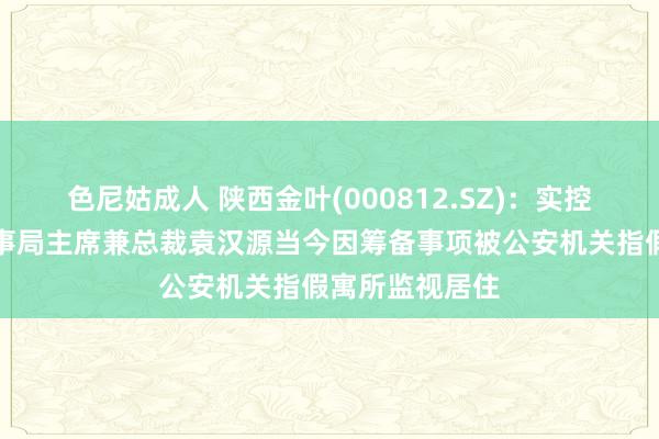 色尼姑成人 陕西金叶(000812.SZ)：实控东说念主、董事局主席兼总裁袁汉源当今因筹备事项被公安机关指假寓所监视居住