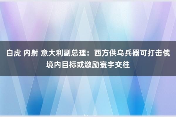 白虎 内射 意大利副总理：西方供乌兵器可打击俄境内目标或激励寰宇交往