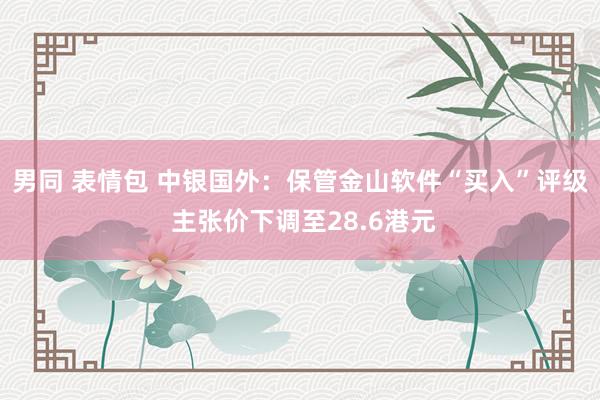 男同 表情包 中银国外：保管金山软件“买入”评级 主张价下调至28.6港元