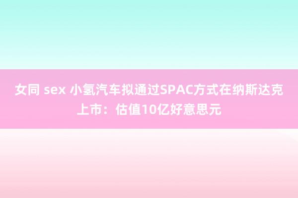 女同 sex 小氢汽车拟通过SPAC方式在纳斯达克上市：估值10亿好意思元