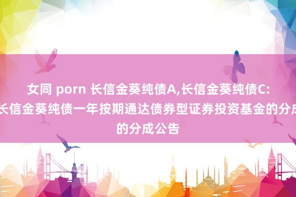 女同 porn 长信金葵纯债A，长信金葵纯债C: 对于长信金葵纯债一年按期通达债券型证券投资基金的分成公告