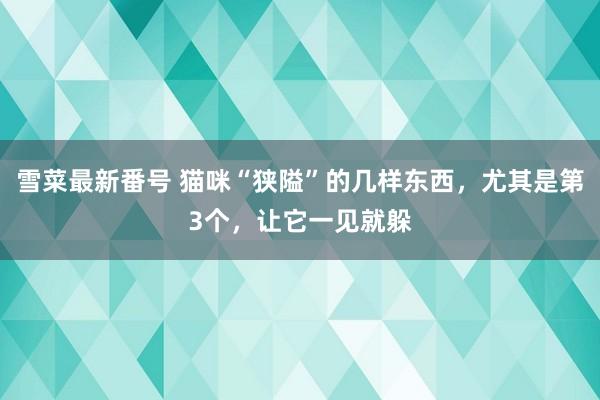 雪菜最新番号 猫咪“狭隘”的几样东西，尤其是第3个，让它一见就躲