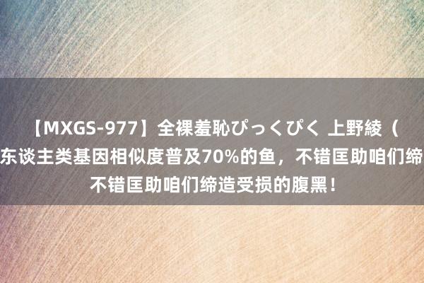 【MXGS-977】全裸羞恥ぴっくぴく 上野綾（雪菜） 这种和东谈主类基因相似度普及70%的鱼，不错匡助咱们缔造受损的腹黑！