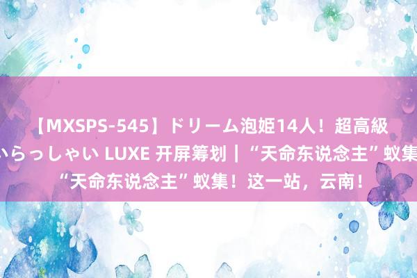 【MXSPS-545】ドリーム泡姫14人！超高級ソープランドへいらっしゃい LUXE 开屏筹划｜“天命东说念主”蚁集！这一站，云南！