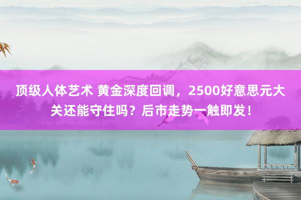 顶级人体艺术 黄金深度回调，2500好意思元大关还能守住吗？后市走势一触即发！