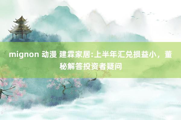 mignon 动漫 建霖家居:上半年汇兑损益小，董秘解答投资者疑问