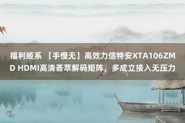 福利姬系 【手慢无】高效力信特安XTA106ZMD HDMI高清荟萃解码矩阵，多成立接入无压力