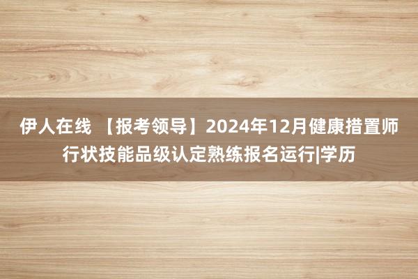 伊人在线 【报考领导】2024年12月健康措置师行状技能品级认定熟练报名运行|学历